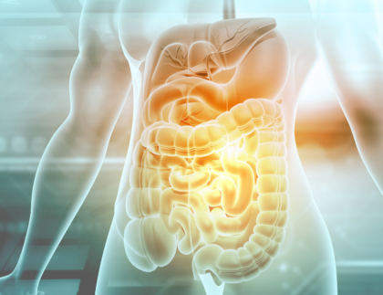 Nutrinova's Solutions for Digestive Wellness