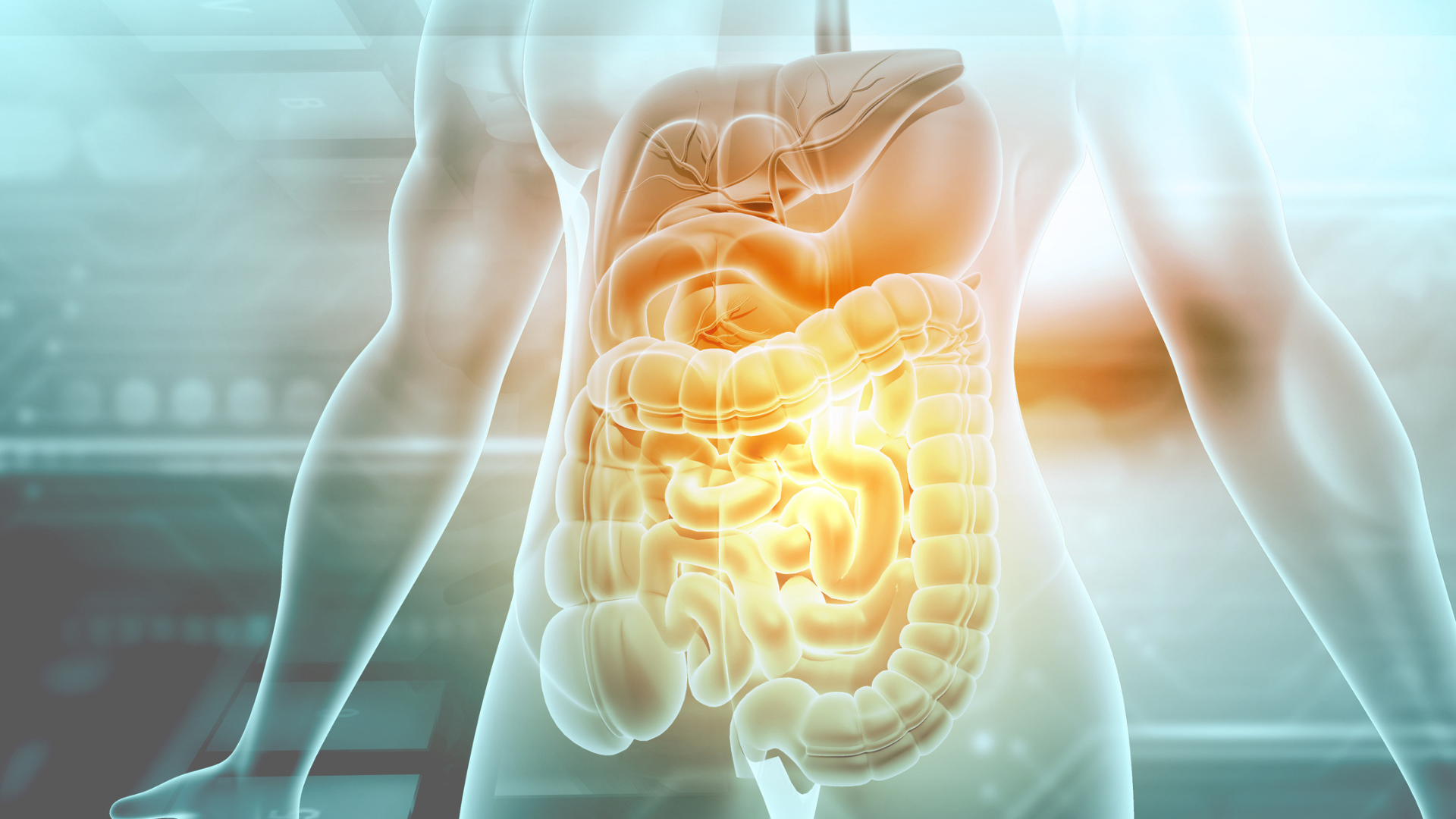 Nutrinova's Solutions for Digestive Wellness